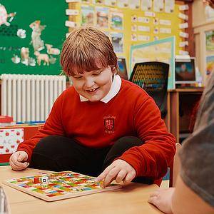 Board Games & Puzzles (Family)