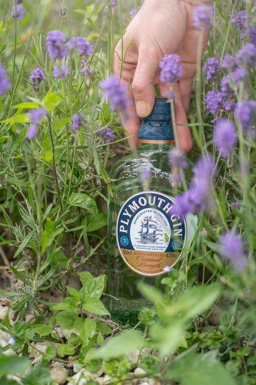 World Gin Day