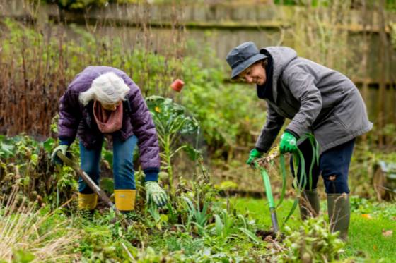 'Growing Older Together' Gardening Group