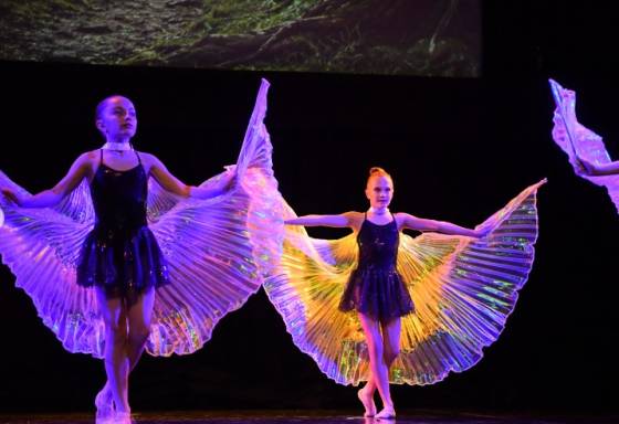 Foundations Young Company (Year 6 – Year 8)